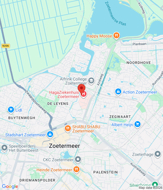 Google maps afbeelding voor Dienstapotheek